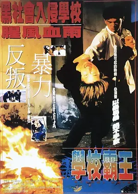 精品视频在线观看