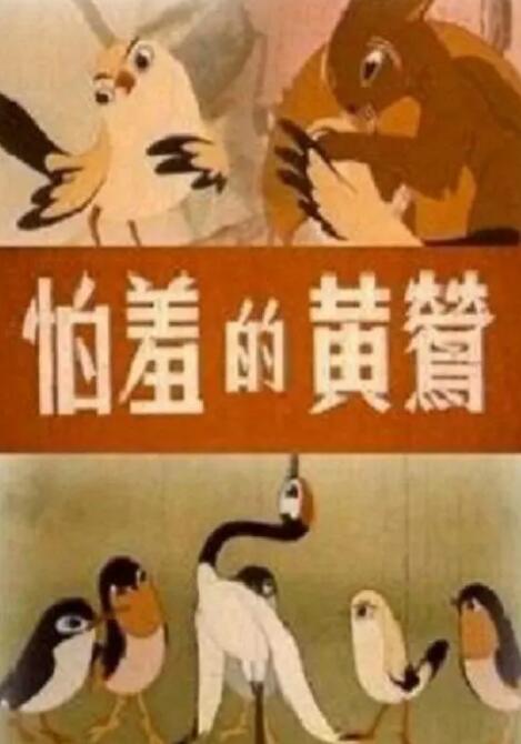 东北老女人视频