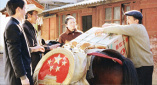 春阳2020