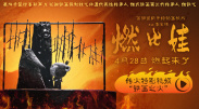 久久96国产精品久久久