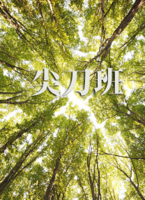 37西方人文艺术company