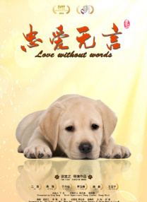 午夜h