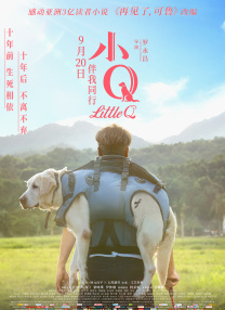 a资源在线观看