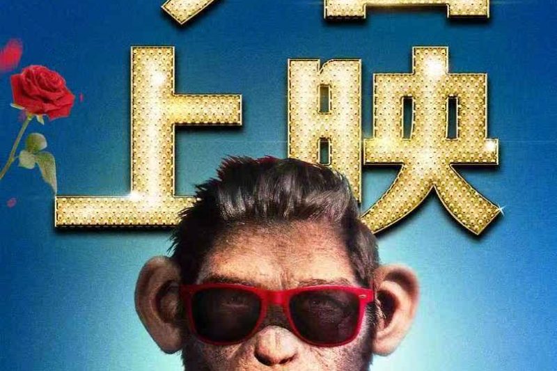 海外华人看不了国内综艺？3招教你解锁微博热门影视，追剧不再卡顿！