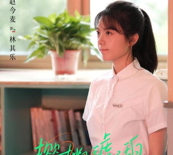 《樱桃琥珀》开播引热议 海外追剧难题如何破解