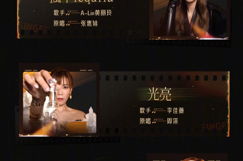 海外华人看不了《歌手》？3招教你解锁芒果TV地区限制