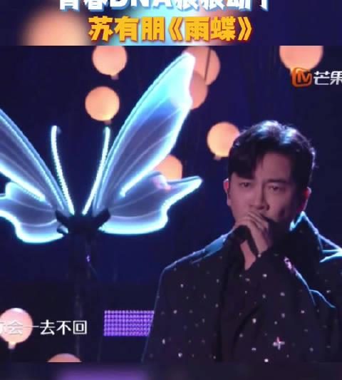 海外华人看不了芒果TV？苏有朋一首《雨蝶》让我连夜研究出破解方法