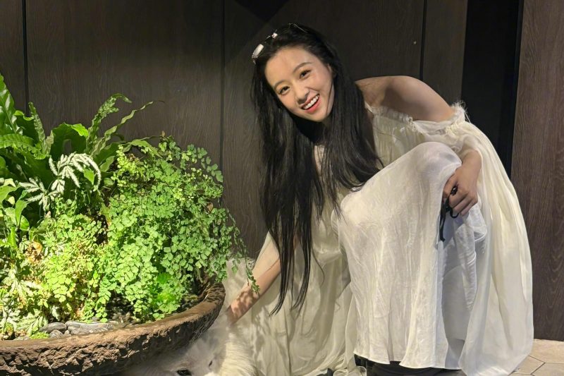 海外华人必看！3招破解国内影视限制，轻松追《包上恩》等热播剧
