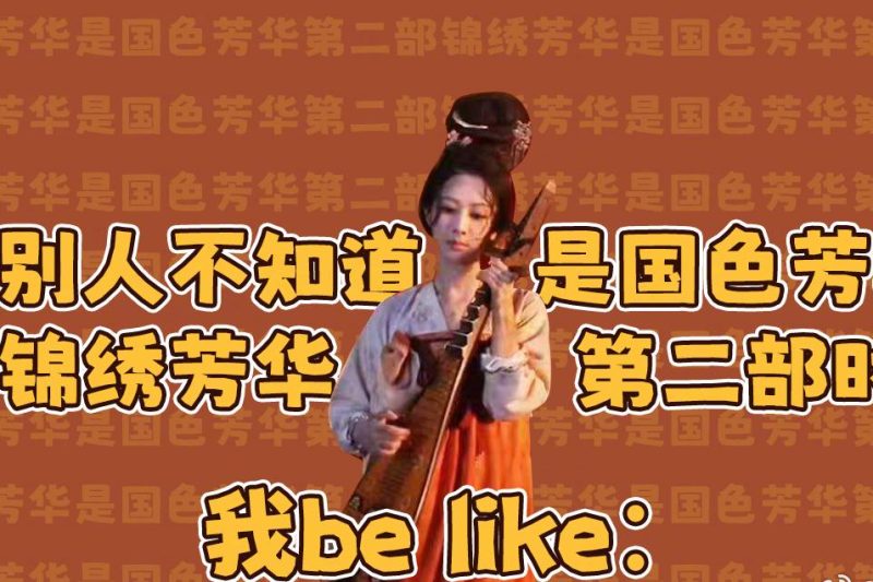 海外华人必看！一招解决芒果TV地区限制，畅享《锦绣芳华》等热播剧