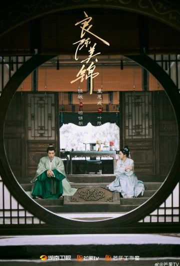 海外追剧党必看！一招解除爱奇艺地区限制，轻松解锁《良陈美锦》等国产新剧