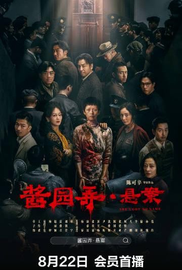 海外华人如何解锁国内影视资源