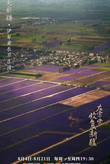 海外追剧不再难！3招破解地区限制