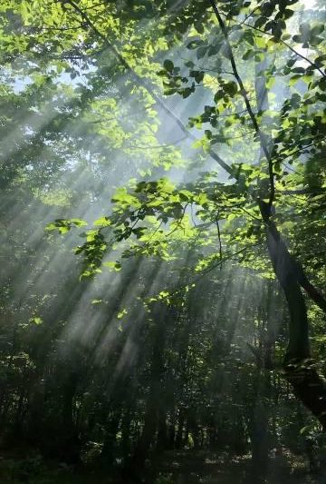 海外追剧不再难！手把手教你解除爱奇艺等国内App地区限制
