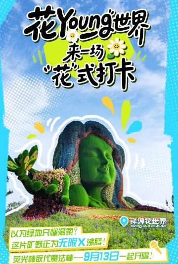 海外追剧看演唱会？一招解除地区限制