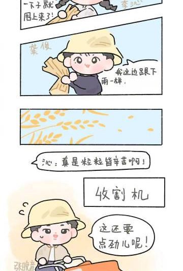 海外华人必看！一招解决爱奇艺地区限制，轻松追《花儿与少年》稻香之旅