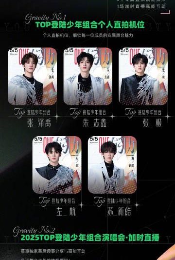 海外华人必看：3步解决爱奇艺地区限制，TOP登陆少年演唱会不再错过！