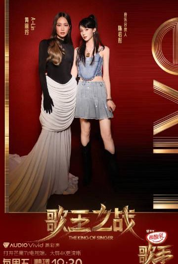 海外华人如何解锁国内热门综艺