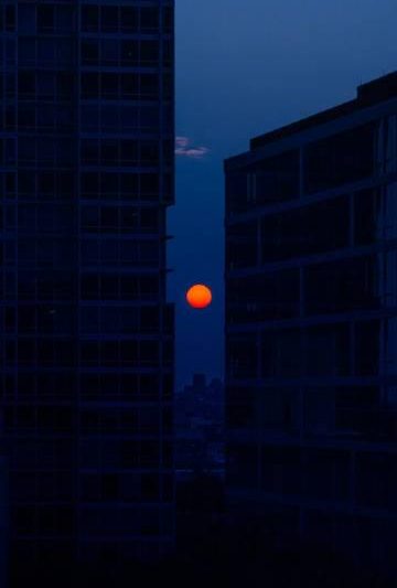 海外华人如何突破地区限制？一键解锁《一直游到海水变蓝》等国内热门影视音乐