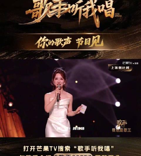 海外华人如何解锁国内影视资源