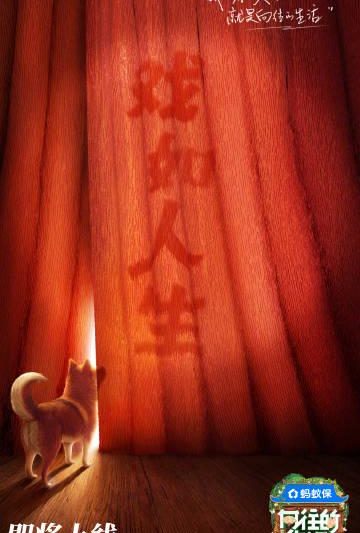 海外华人必看！3步解决爱奇艺地区限制，轻松追《向往的生活》