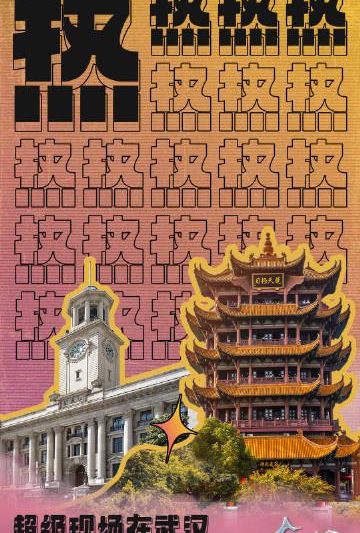海外华人必看！一招解决爱奇艺地区限制，国内热门音乐节直播不再错过