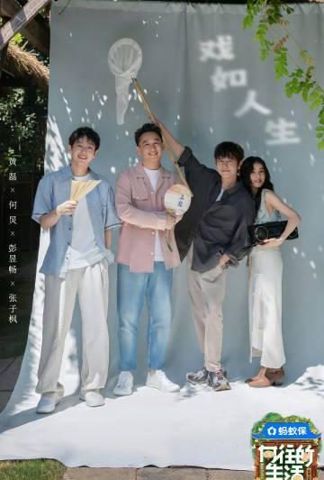 海外华人追剧指南：轻松解锁国内热门节目