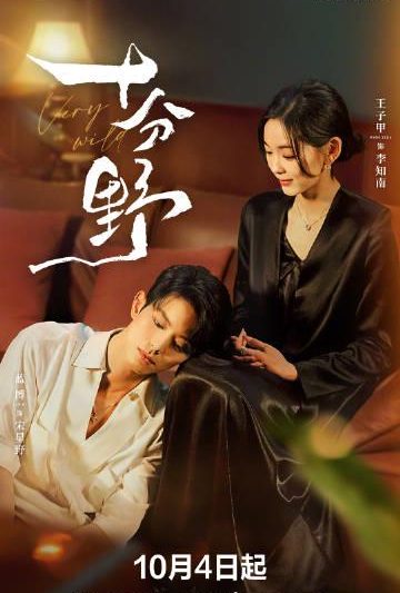 海外华人必看：轻松解决国内影视综艺地区限制播放问题