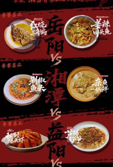 海外华人必看！3招解决爱奇艺地区限制，轻松追国内热门综艺