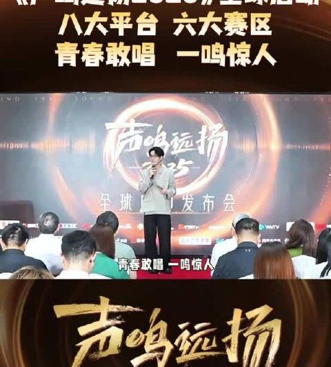 海外华人必看！3步解决爱奇艺地区限制，轻松追《声鸣远扬2025》