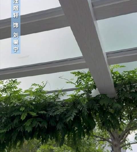 海外华人必看！3步解决爱奇艺地区限制，轻松追剧无压力