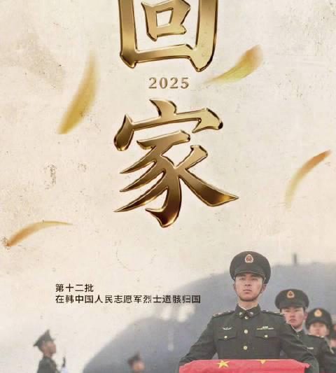 海外华人必看！手把手教你解除爱奇艺地区限制，轻松追剧无压力