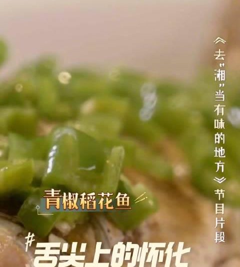 海外华人轻松解锁国内影音限制