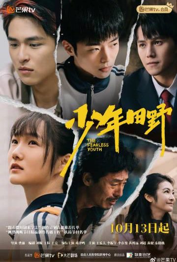 海外华人必看：轻松解除国内影视音乐地区限制的实用指南