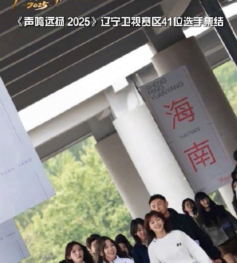 海外华人轻松解锁大陆节目限制，畅享《声鸣远扬》等热门内容