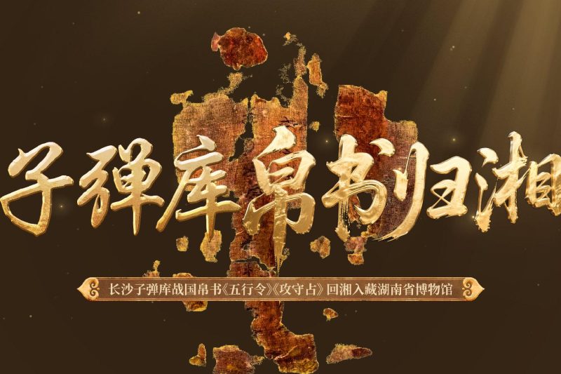 海外华人实用指南：轻松解除国内影视音乐播放限制