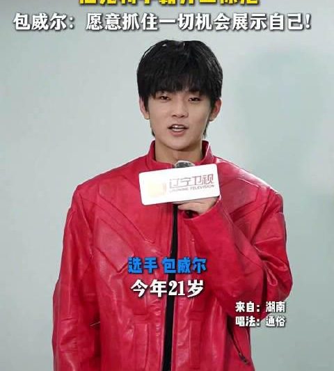 海外追综艺不再愁！手把手教你解锁《声鸣远扬》等国内热门节目