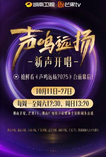 海外华人如何解决国内影视综艺地区限制播放问题