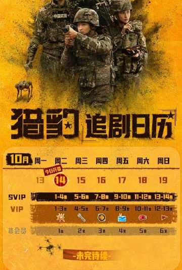 海外追剧党必看！手把手教你解除爱奇艺、芒果TV地区限制，不再错过《猎豹》等热播剧