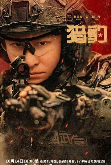 海外追剧党必看！手把手教你解除爱奇艺地区限制，轻松看《猎豹》