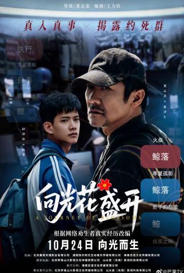 海外华人必看：轻松解除大陆影视音乐地区限制的实用技巧