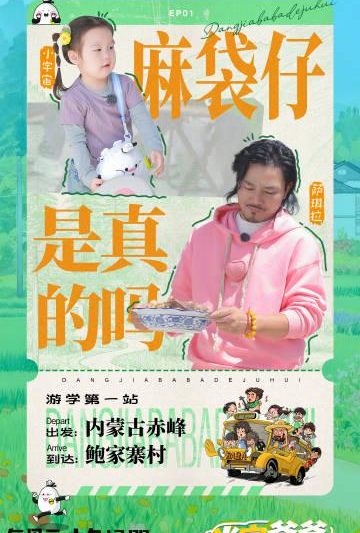 海外华人必看！3招解决爱奇艺、芒果TV地区限制，轻松追《当家爸爸的聚会》