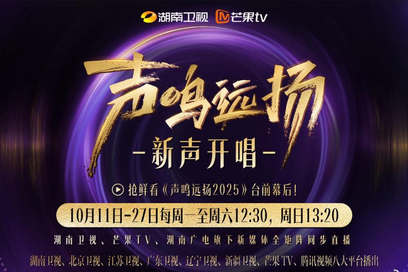 海外华人如何轻松解除大陆视频音乐平台地区限制全攻略