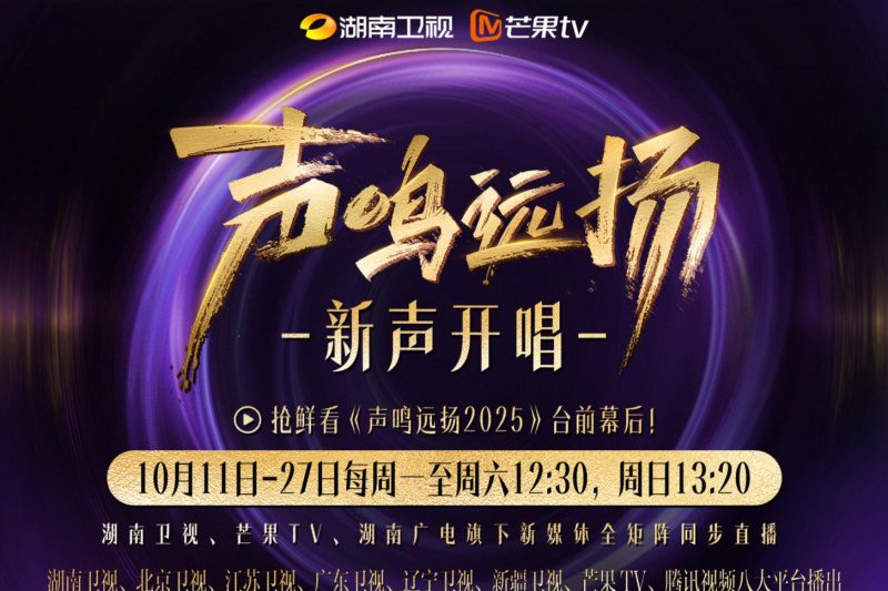 海外华人必看：轻松解除大陆影视音乐地区限制全攻略