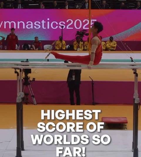 海外华人如何突破地区限制观看邹敬园双杠夺冠？这招解决播放卡顿问题