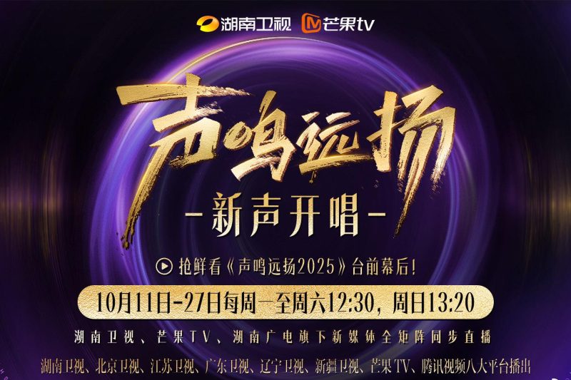 海外追综艺必备！手把手教你解决爱奇艺、芒果TV地区限制问题