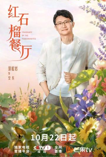 海外华人必看：3步解决爱奇艺、芒果TV地区限制，追剧不再愁