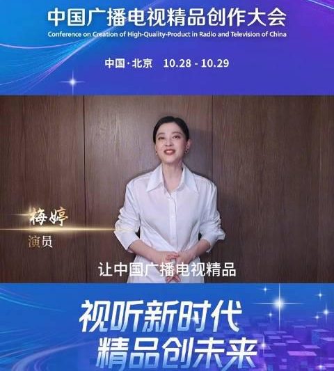 海外华人必看！轻松解锁大陆影视综艺，告别播放限制烦恼