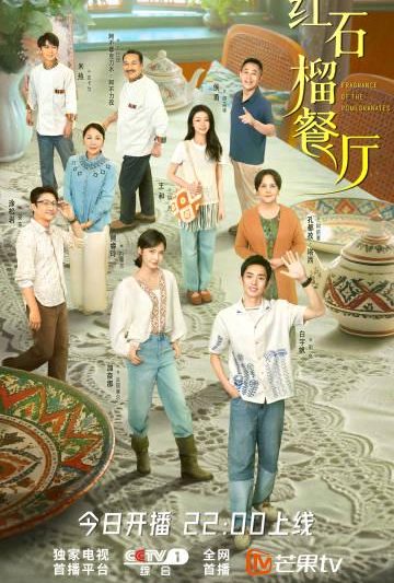 海外华人实用指南：轻松解除大陆影视综艺地区限制