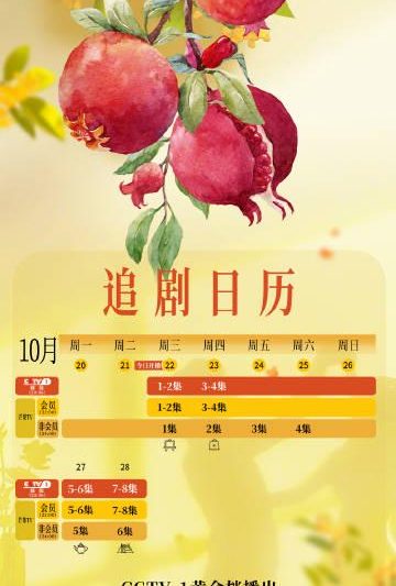 海外华人如何轻松解锁国内热门影视剧，告别播放限制与卡顿烦恼