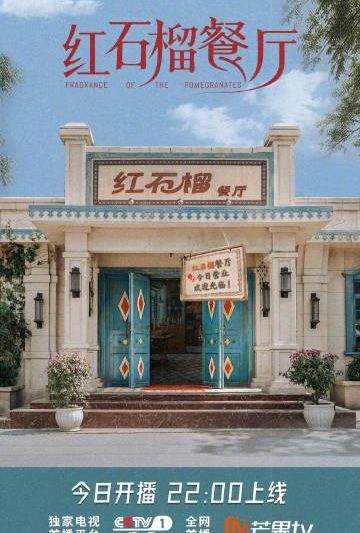 海外华人轻松解锁大陆影视限制：告别卡顿畅享家乡节目